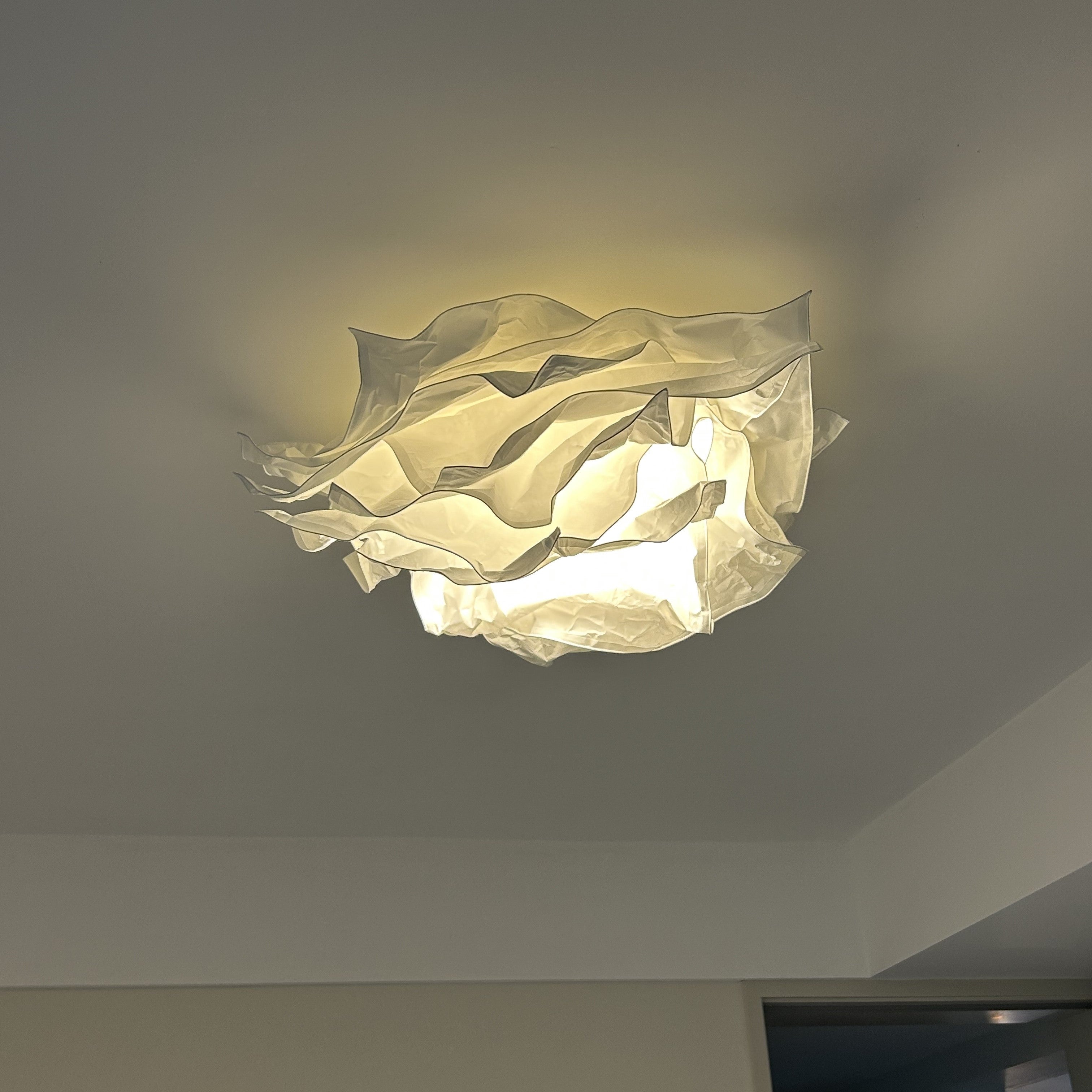 Plafonnier Métal Fleur Design Pour Étude Et Chambre À Coucher