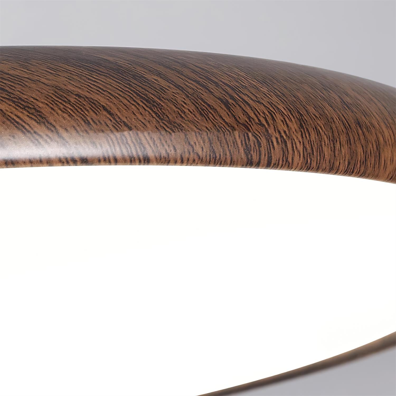 Plafonnier Ovale Semi Encastré LED Éclairage Économique et Moderne