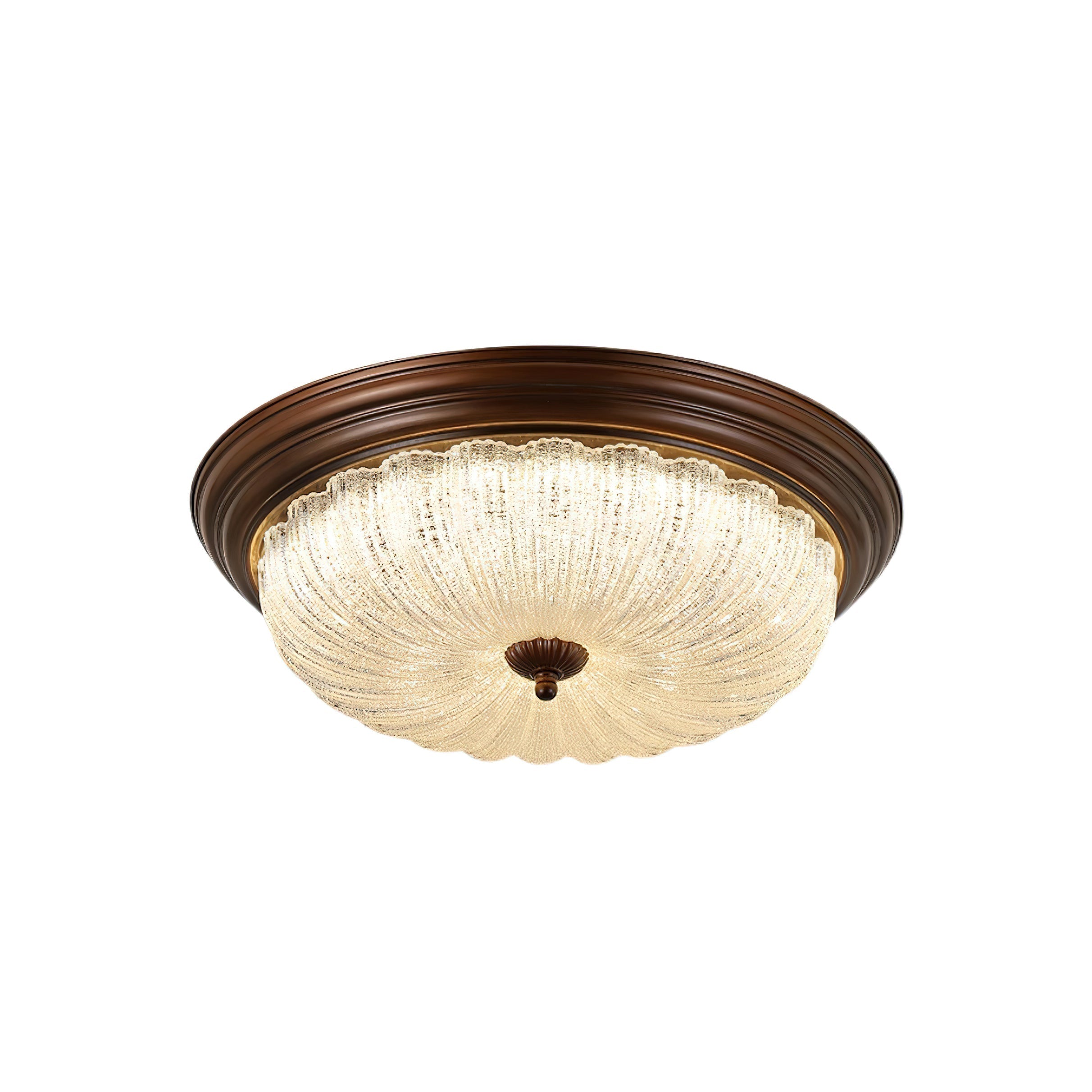 Plafonnier Métal Verre Moderne Minimaliste à LED Intégré
